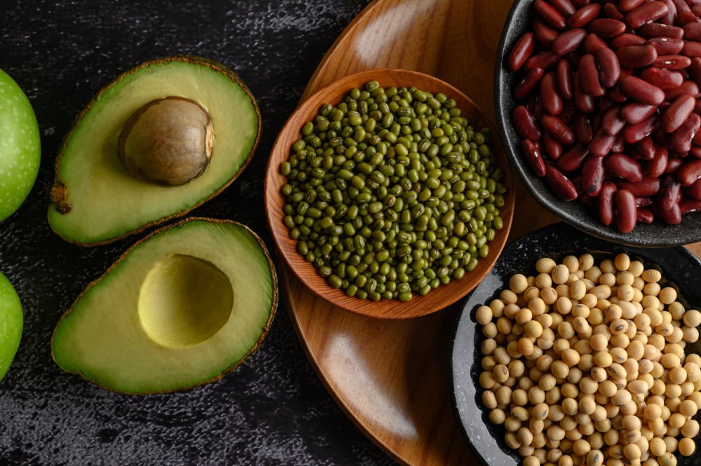 meatless protein