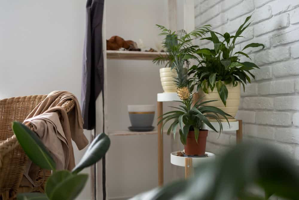 biophilic design