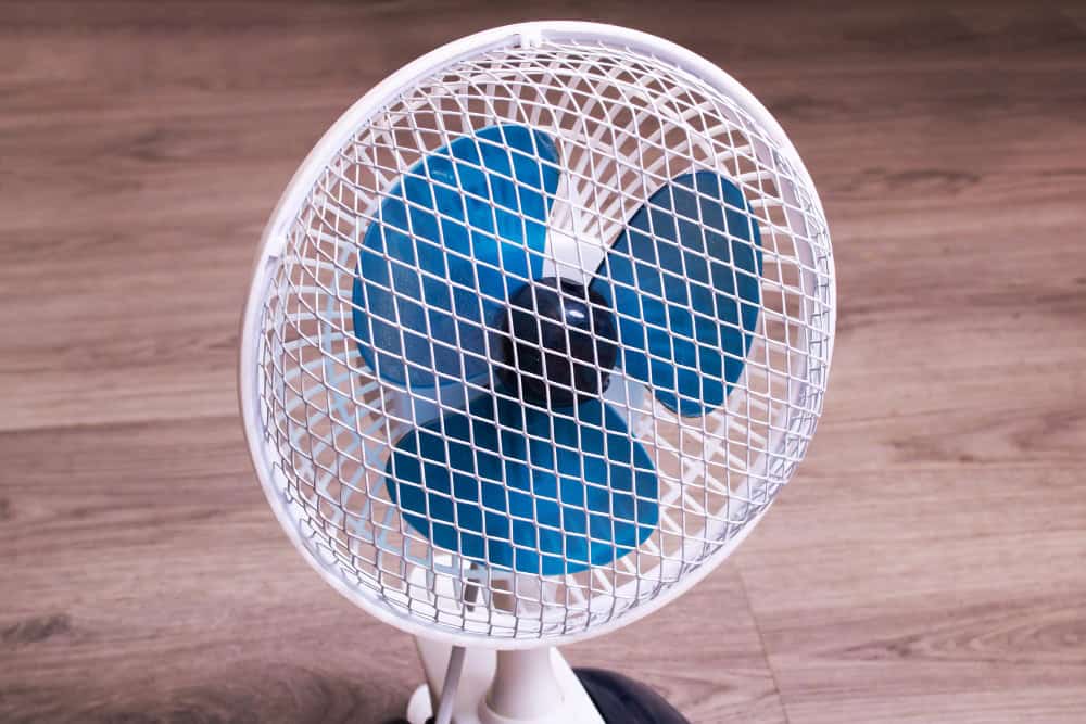 cleaning the fan