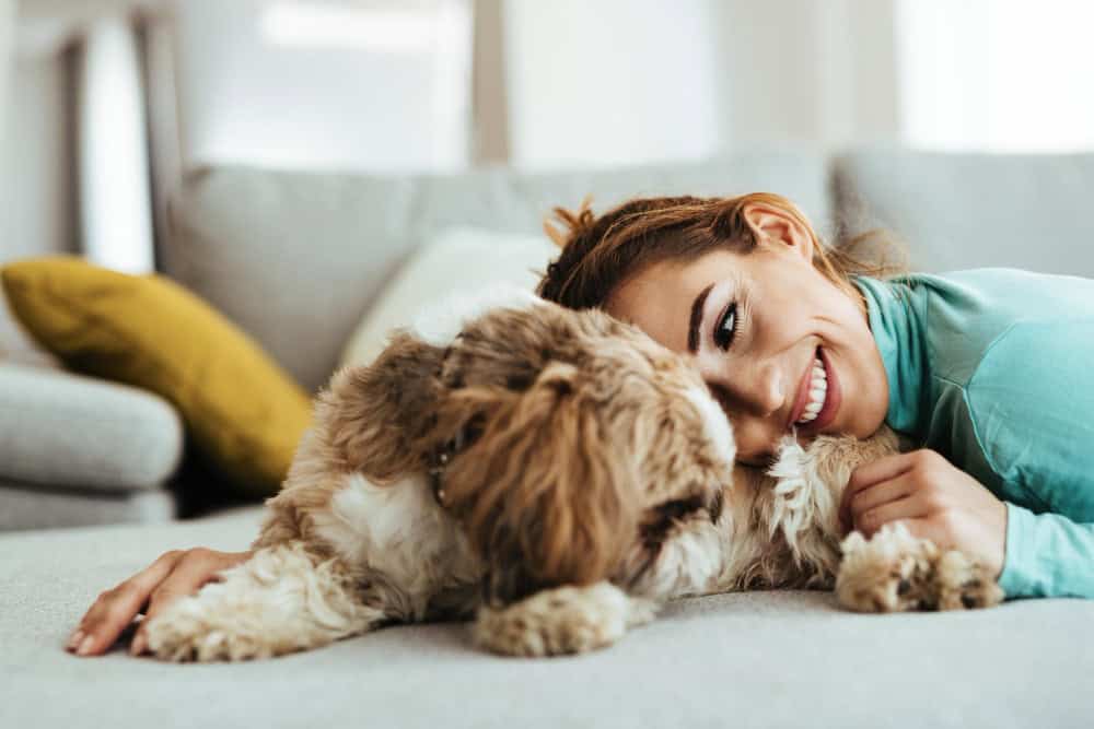 pet at home